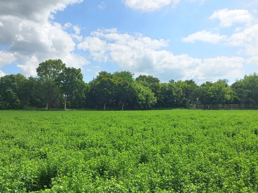 Commercial Property for Sale in Zoutpansdrift North West